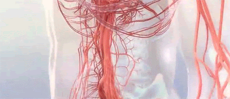 346414c4c01cdd3e2b6ee6e45ff60202.gif