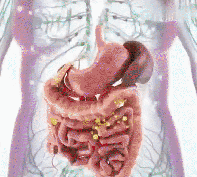 1.gif